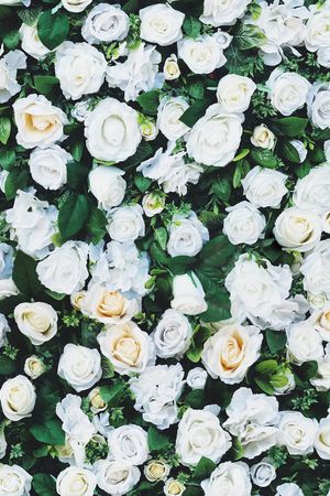 玫瑰花印花华亿平台图片