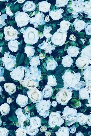 玫瑰花印花华亿平台图片