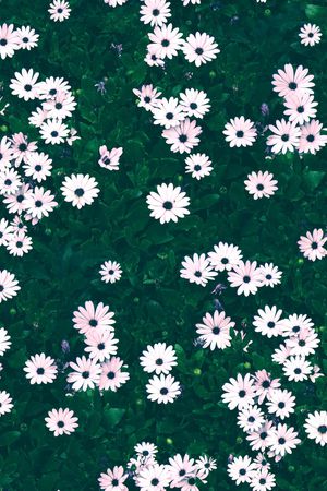 大牌风印花华亿平台图片