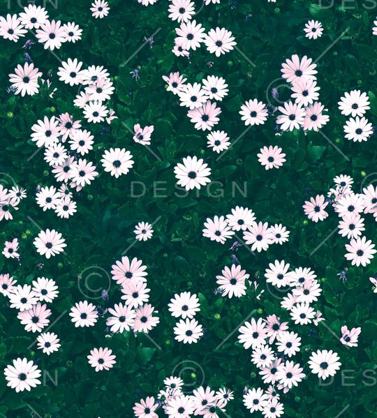 大牌风印花华亿平台图片