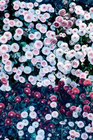 大牌风印花华亿平台图片