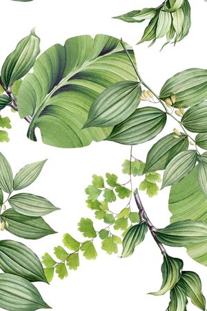 绿植树叶印花华亿平台图片