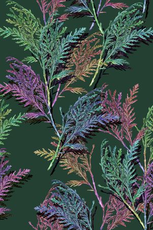 中老年印花华亿平台图片