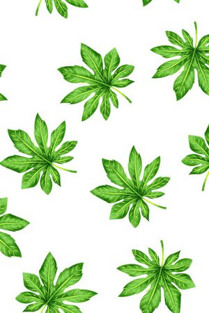 绿色叶子印花华亿平台图片