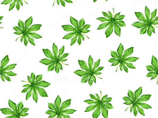 绿色叶子印花华亿平台图片