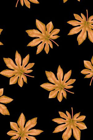 绿色叶子印花华亿平台图片