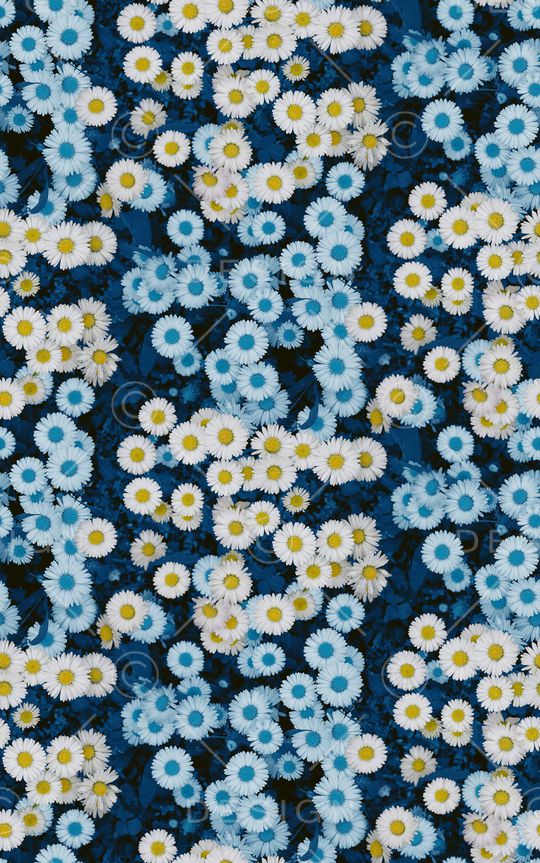 印花印花华亿平台图片