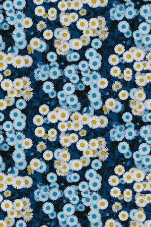 印花印花华亿平台图片