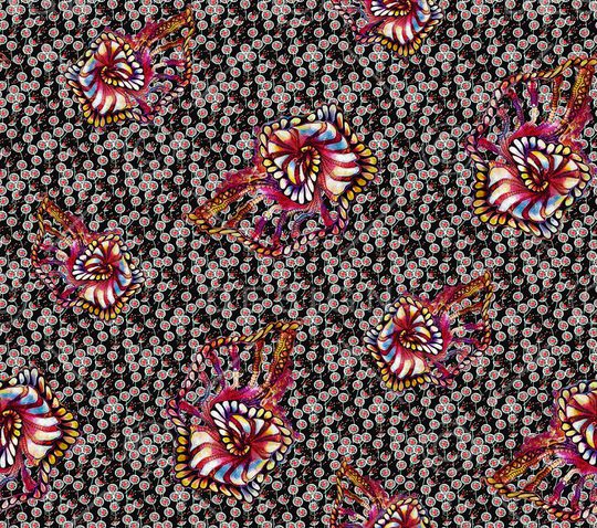 欧洲印花华亿平台图片