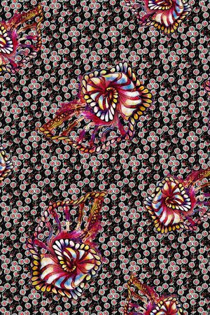 欧洲印花华亿平台图片