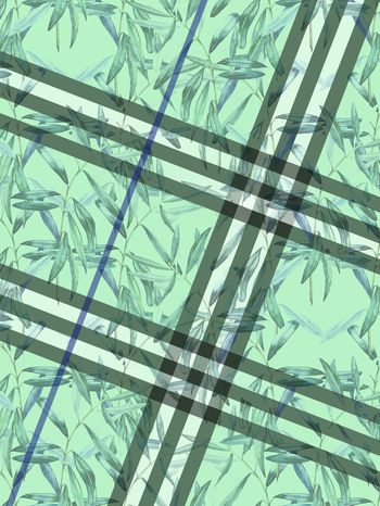 1256398-2019-7-24-1绿