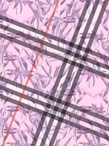 1256401-2019-7-24-3粉