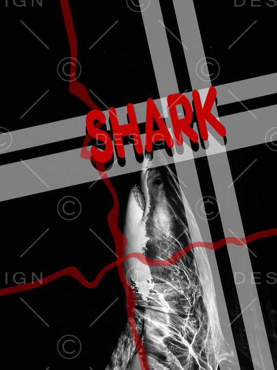 鲨鱼印花华亿平台图片