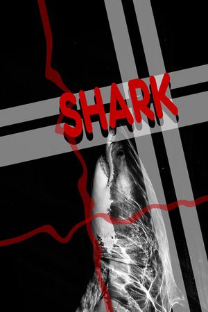 鲨鱼印花华亿平台图片