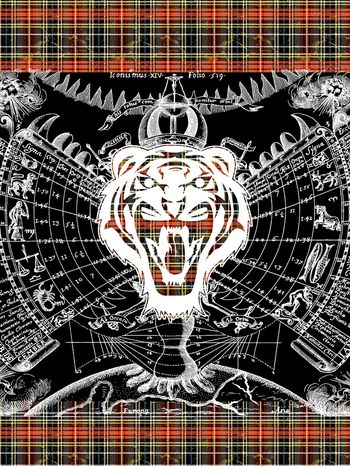 动物头印花华亿平台图片