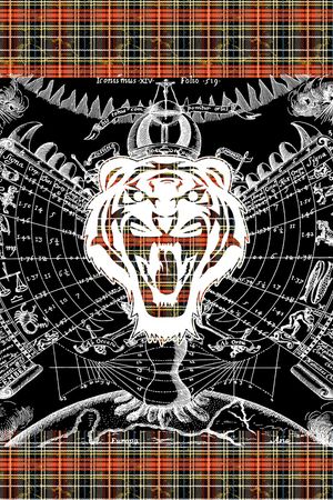 动物头印花华亿平台图片