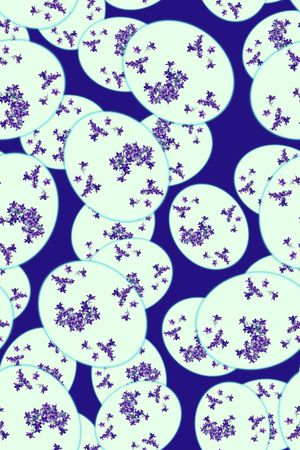 女装印花华亿平台图片