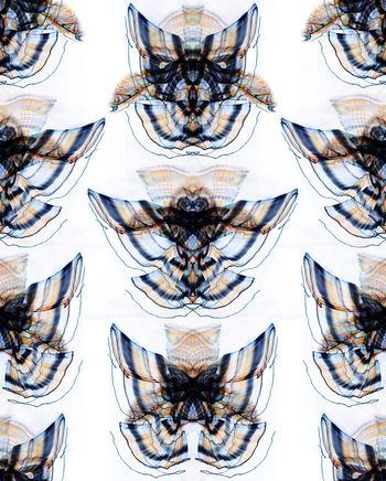 1257010-抽象图案迷幻花卉2