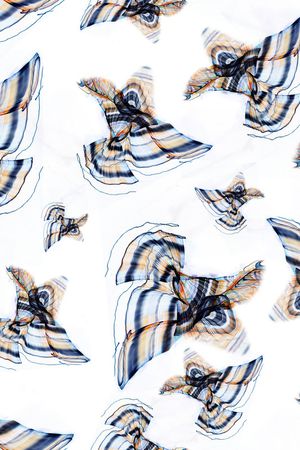 花鸟印花华亿平台图片