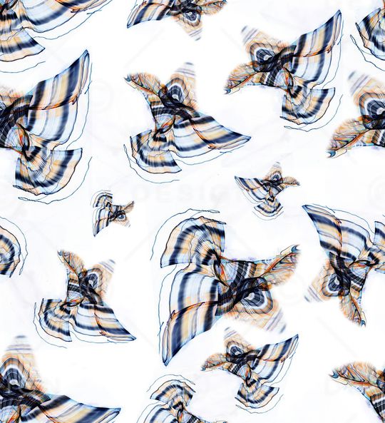 花鸟印花华亿平台图片