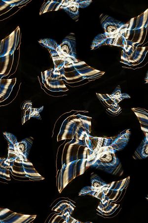 花鸟印花华亿平台图片