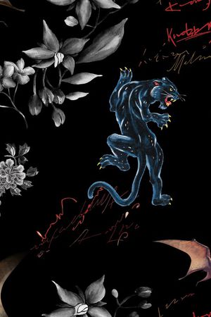 大牌风印花华亿平台图片