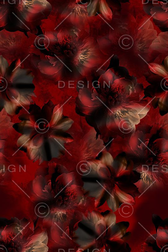 女装印花华亿平台图片