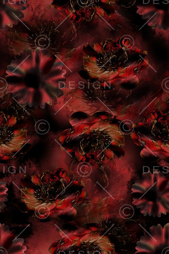 女装印花华亿平台图片