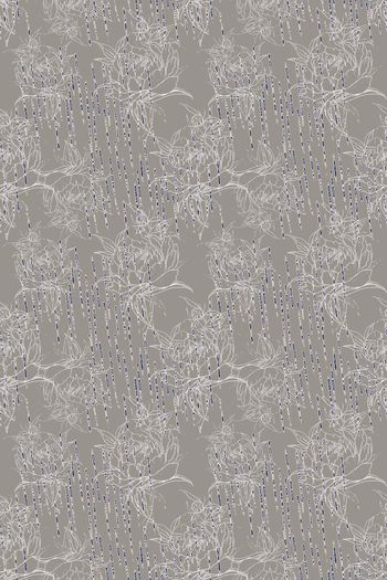 1258161-190908-nzhh-4-00