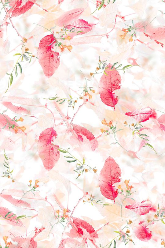 女装印花华亿平台图片