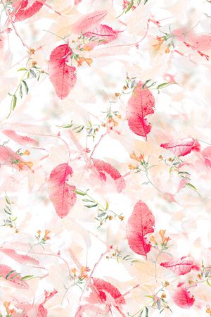 女装印花华亿平台图片