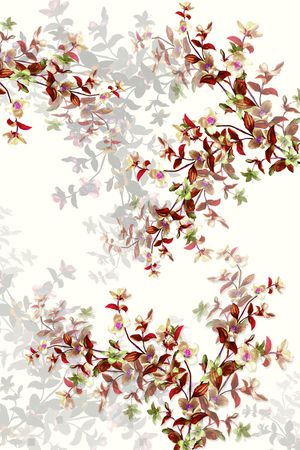 女装印花华亿平台图片