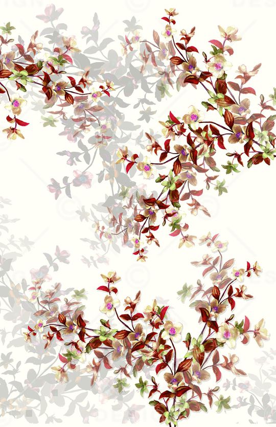 女装印花华亿平台图片