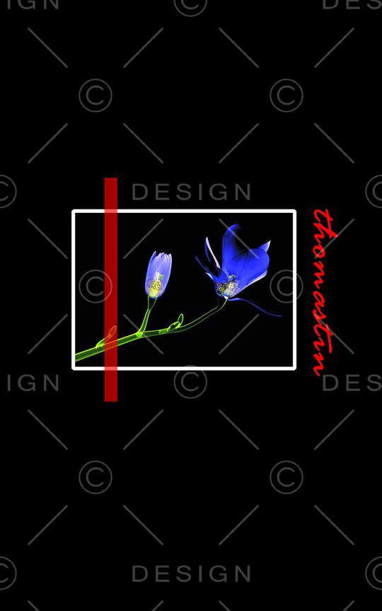 热带华亿平台印花华亿平台图片