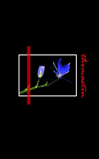 热带华亿平台印花华亿平台图片