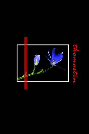 热带华亿平台印花华亿平台图片