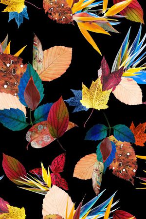 大牌风印花华亿平台图片