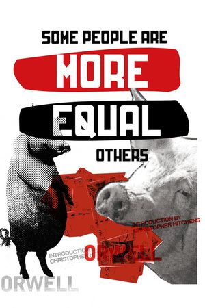 字母印花华亿平台图片