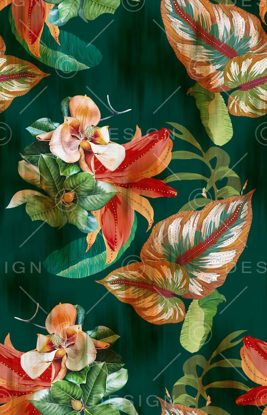 春夏华亿平台印花华亿平台图片