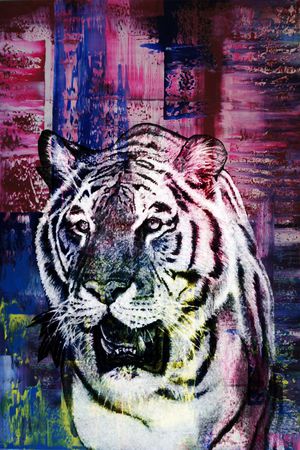 夹克印花华亿平台图片