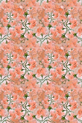 1261010-191008-天堂花园-2-00