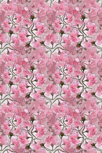 1261011-191008-天堂花园-2-2