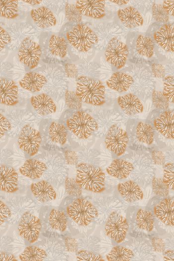 1261016-walan191018-nzhh