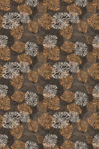 1261017-walan191018-nzhh