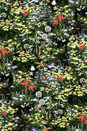 大牌风印花华亿平台图片