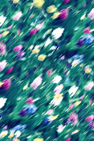 大牌风印花华亿平台图片