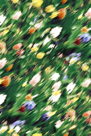 大牌风印花华亿平台图片