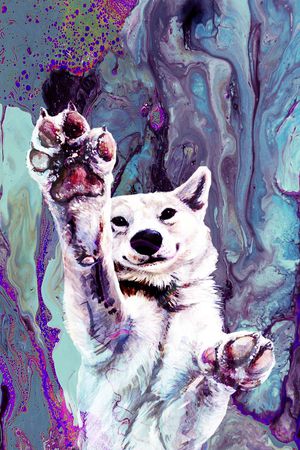 大牌男装印花华亿平台图片