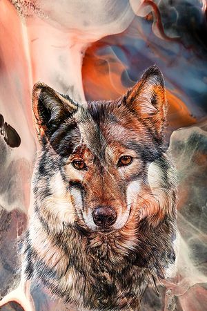 大牌男装印花华亿平台图片