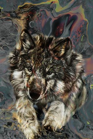 大牌男装印花华亿平台图片